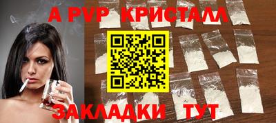 тгк Кингисепп
