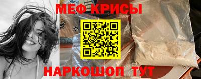 тгк Кингисепп