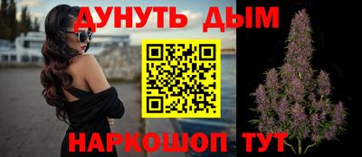 тгк Кингисепп
