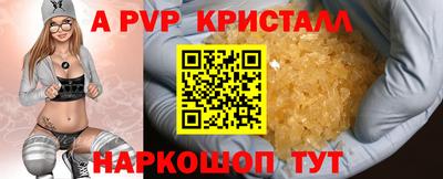 тгк Кингисепп