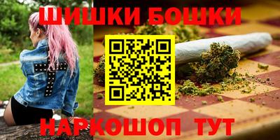 тгк Кингисепп