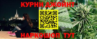 тгк Кингисепп