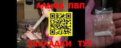 тгк Кингисепп