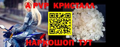 тгк Кингисепп
