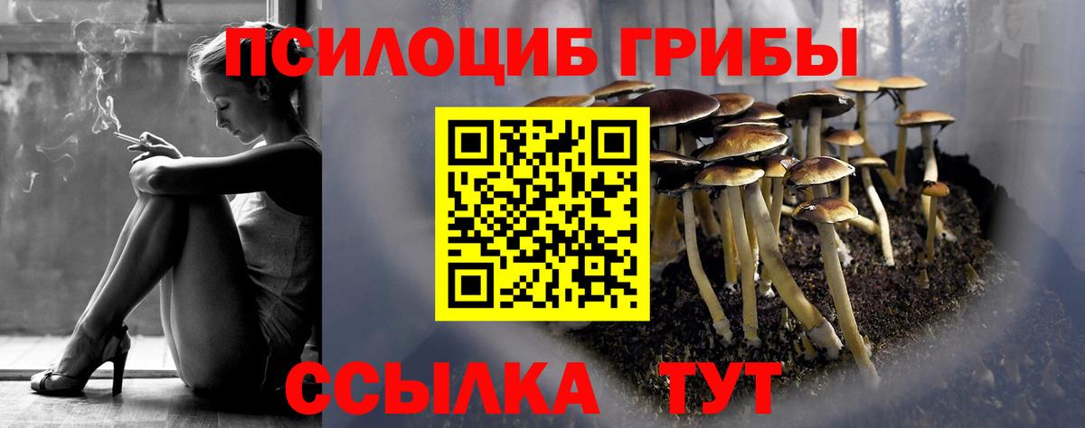 Псилоцибиновые грибы прущие грибы Ялуторовск